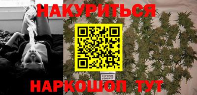 гидропоника Кингисепп