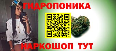 гидропоника Кингисепп