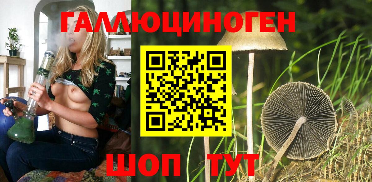 Гурьевск  Псилоцибиновые грибы Psilocybe  купить  сайты  Псилоцибиновые грибы прущие грибы  Вход с VPN 