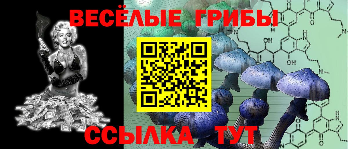 Галлюциногенные грибы Cubensis Гурьевск
